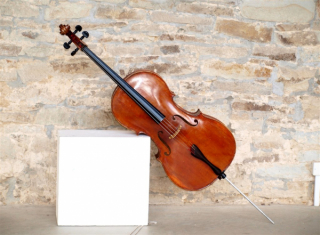 Sons pour une demande en pardon - le violoncelle français